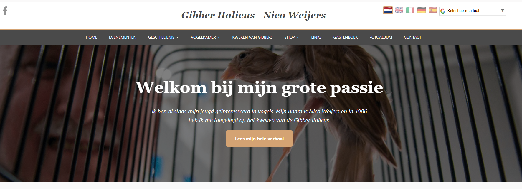 Schermafbeelding van de website van Gibber Italicus